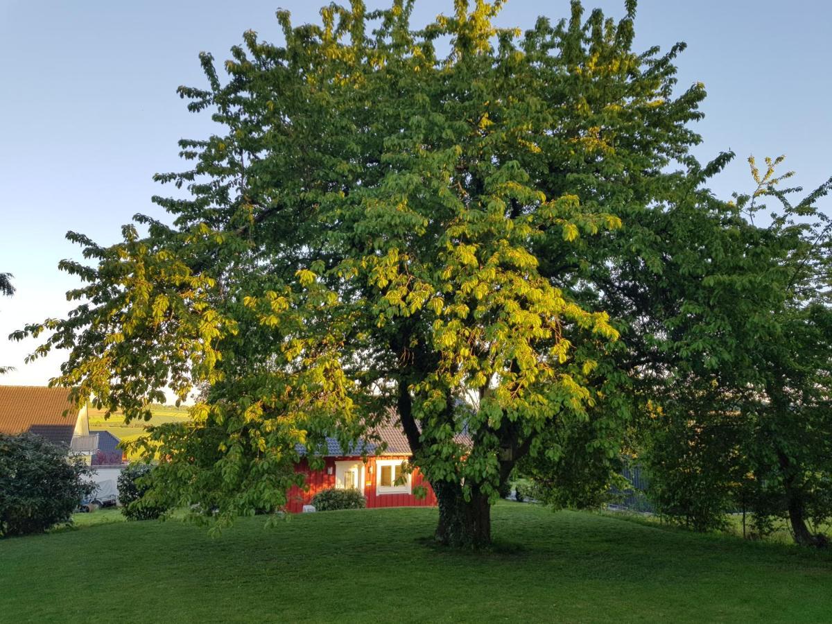 Ferienhaus Loeh Kleinmaischeid Экстерьер фото